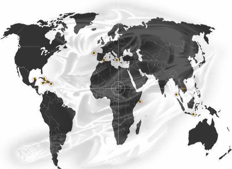 Los Veteranos Worlddomination